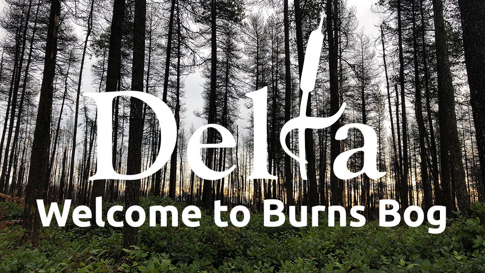 For #WorldWetlandsDay 2019, Dr. Sarah Howie, Wetlands Scientist for Delta's Climate Action and Environment department, takes us for a tour of one of Delta's most interesting and diverse ecological sites: Burns Bog. youtu.be/rEElr5HYVK4