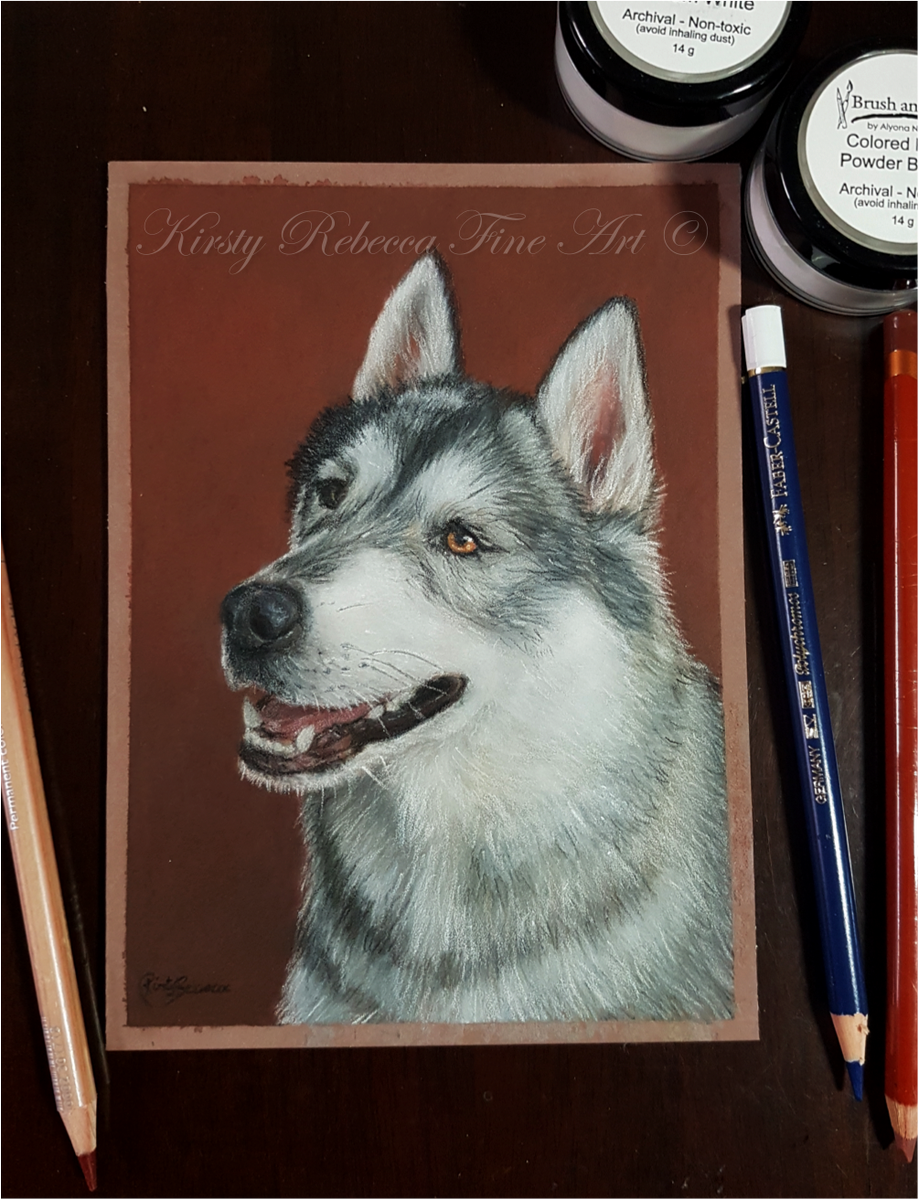 kirstyrebeccart's tweet photo. Throwback to this tiny 5" x 7" coloured pencil piece!
This was one of the first pet portraits I did using the Powder Blender and Titanium white from Brush and Pencil!
Meet Peach, the Husky!
#colouredpencil #coloredpencil #powderblender #drawing #petportraits #husky https://t.co/71CCyehOWG