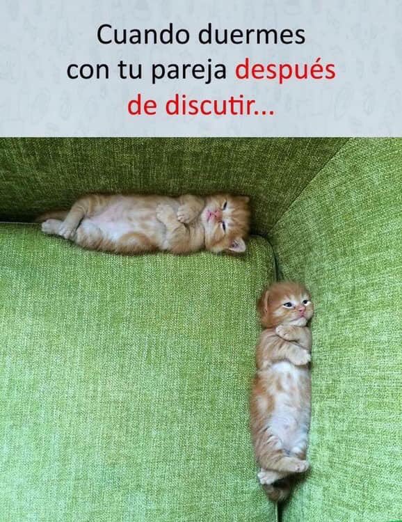 Wiilly8's tweet image. 😩😭🤣