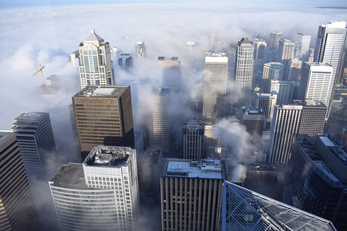 ColumbiaSkyView's tweet image. The Groundhog didn’t see his shadow, but we see our shadow. We’re still voting for an early spring, how about you? Team spring or team winter? 🌸&amp;gt;❄️ #VisitSeattle #FromTheTop #Seattle #TopOfSeattle #SeattleViews #WeekendinSeattle
