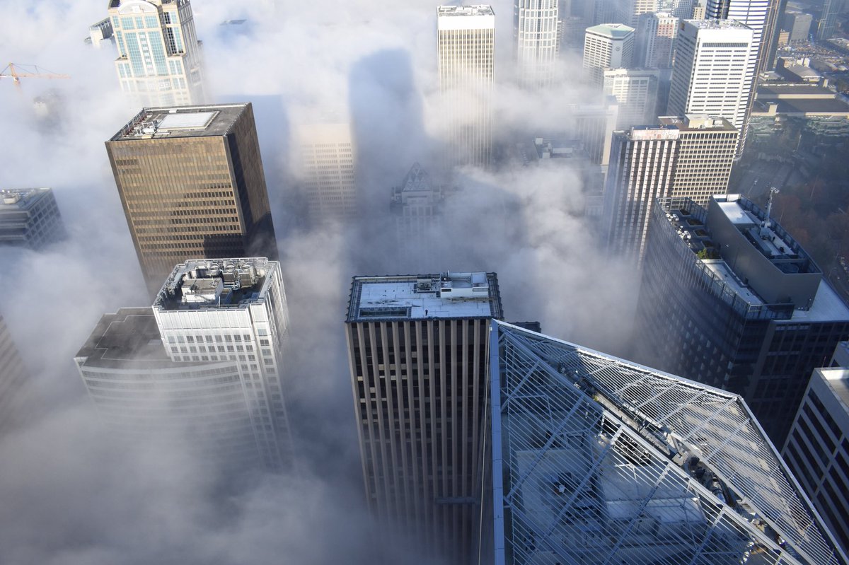 ColumbiaSkyView's tweet image. The Groundhog didn’t see his shadow, but we see our shadow. We’re still voting for an early spring, how about you? Team spring or team winter? 🌸&amp;gt;❄️ #VisitSeattle #FromTheTop #Seattle #TopOfSeattle #SeattleViews #WeekendinSeattle