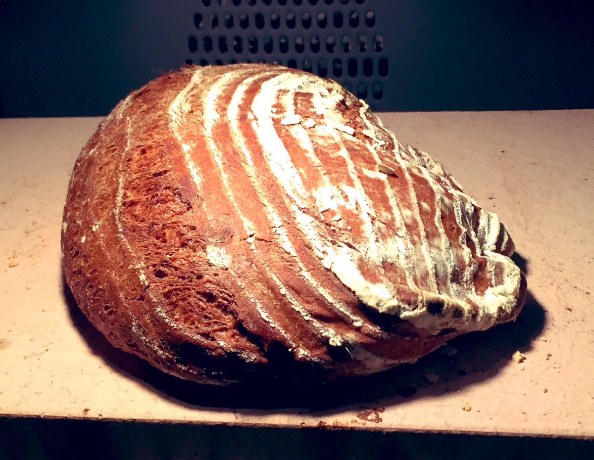 tomatenobst's tweet photo. Auch das Teil beim Backen: abgesch*n beim Flipflop aus dem Gärkorb.. Dafür ordentlich Triebkraft.. #makemistakesandlearn https://t.co/93FCZ0DP1M
