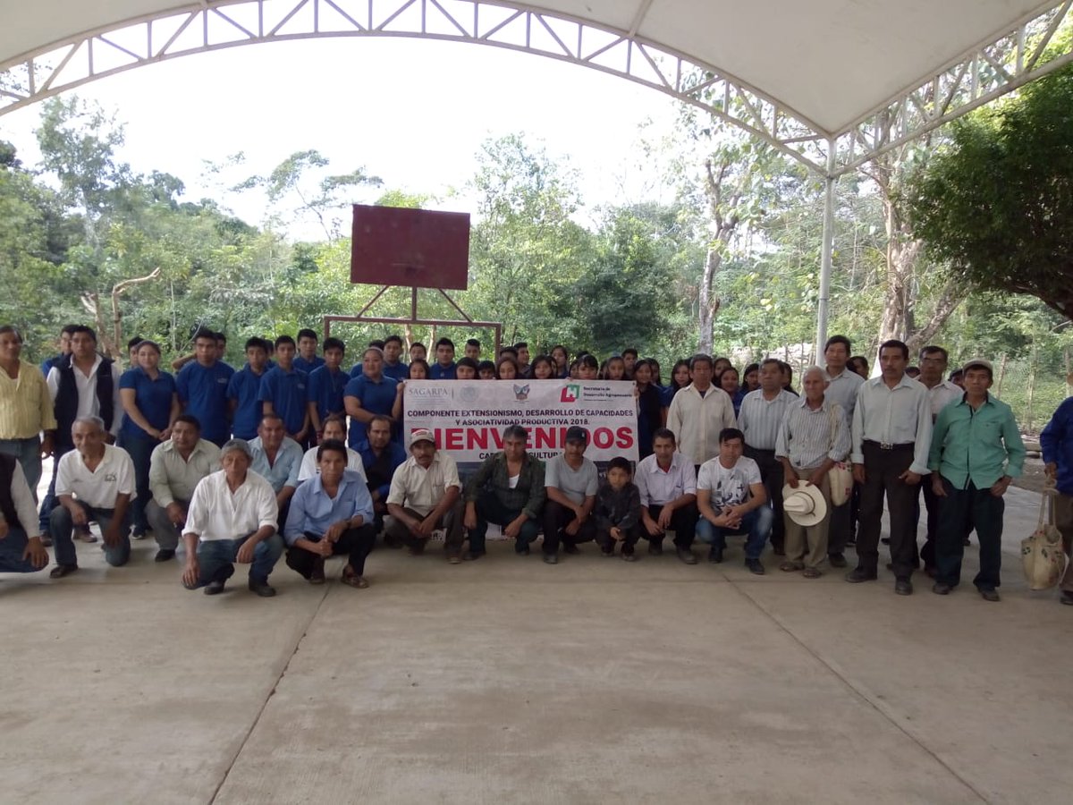 saduc3's tweet photo. Evento demostrativo sobre nutrición apicola, taller celebrado en Xiquila, Huejutla, Hidalgo. Acciones dentro del extensionismo 2018. #SEDAGROH_HIDALGO #ExtensionismoHIDALGO #SubSria_DesarrolloRural @Car_Muniz @eucarizpe @jvfalcon2 https://t.co/XqOJ7qnLrQ