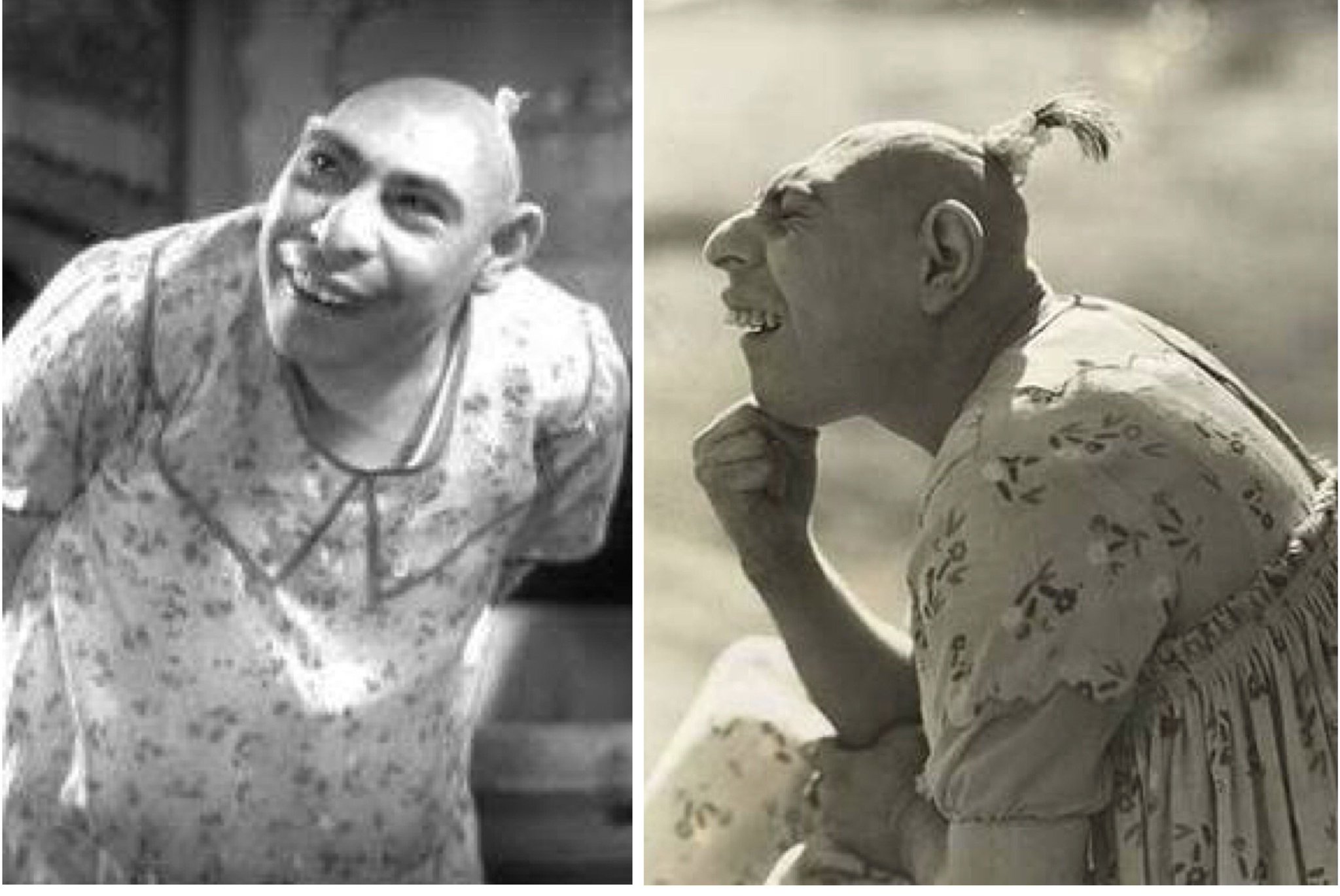 ����� ������ ����� - 13