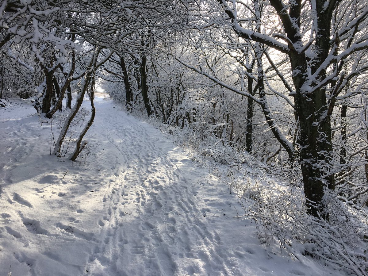 hostilesmoker's tweet photo. A beautiful morning for a #trailrun this morning at #suttonbank on the #clevelandway #NorthYorkMoors #running #ukrunchat #training https://t.co/zeTkvVCf16