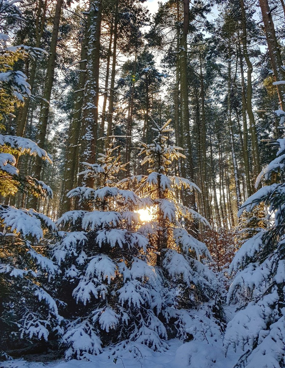 Winter wonderland in the forest above Ladybower Reservoir near to Fairholmes. A beautiful Peak District  day for a run.