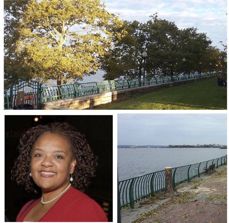 SustainableJC's tweet image. 🌿🍃Denise Bailey is the 3rd and final speaker for our All About Green Infrastructure Meeting on Feb 5th! Denise co-founded “The Friends of the Walkway” in 2009 and is an advocate for all our city’s trees. Come and learn how we can prevent more trees in JC from being cut down!