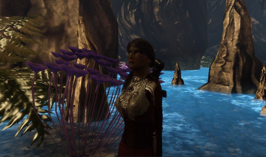 I don’t know how I found this but it’s my spot now.