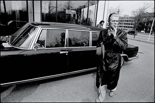 BowieCollective's tweet photo. What you like is in the limo.
.
#thebowiecollective #the #numberone #bowieshow #onearth #davidbowieis #commander #bowieverserulesok #letsmake #a #deal #blackstarlimo #blackstarsunite #forjustonenight #happinessishappening #lovecleans #themind #befree #mi… https://t.co/ab9vWMOoE8 https://t.co/hoNFjGSIqd