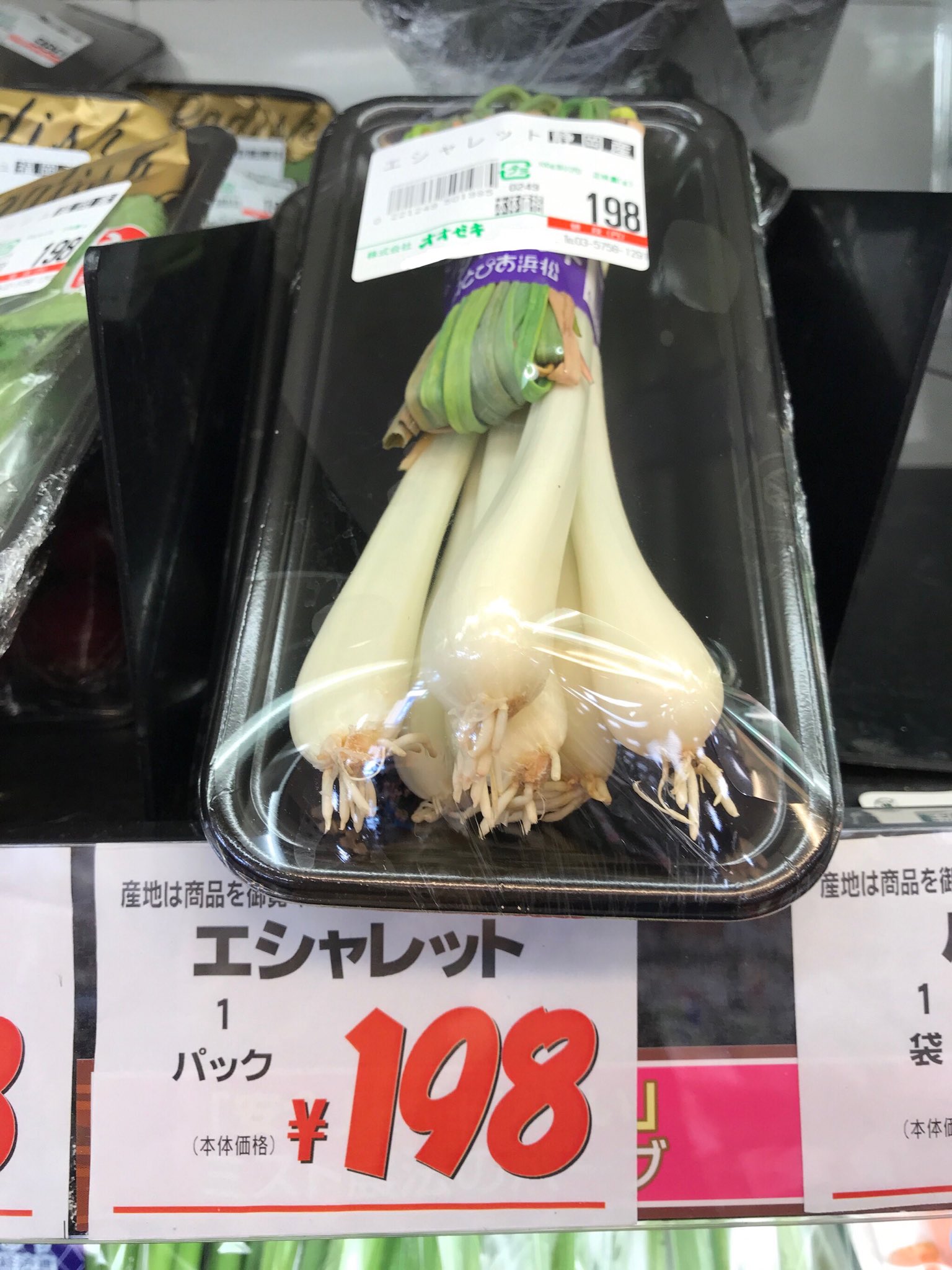 梶原一紘 フルート エシャロット らっきょう いいえ エシャレットです 味はらっきょうでした T Co O0t180sfrm Twitter