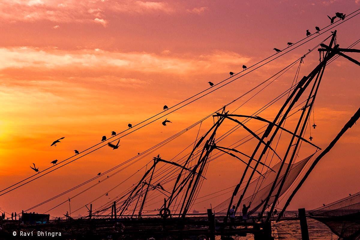 ravidhingra_'s tweet photo. Sunset at Fort Kochi
#CapturedOnCanon
#canonindia_official
#DelightingYouAlways
#EOSProfessional
#CanonPhotoMentor @Canon_India @incredibleindia @lonelyplanet_in https://t.co/qcC9is7AmJ