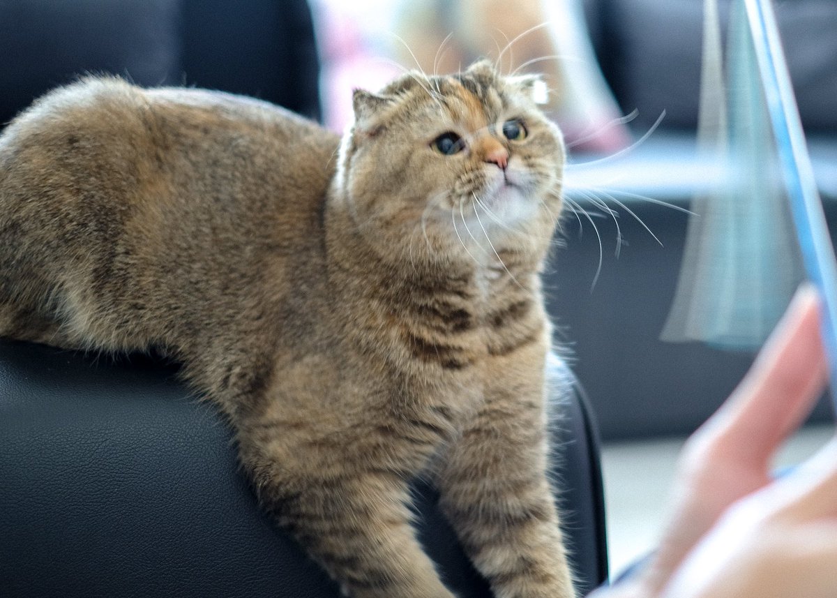 Bonusiie's tweet photo. ส่งของเล่นมาให้เลานะมานุด ส่งมาๆ https://t.co/NE545rRL1K