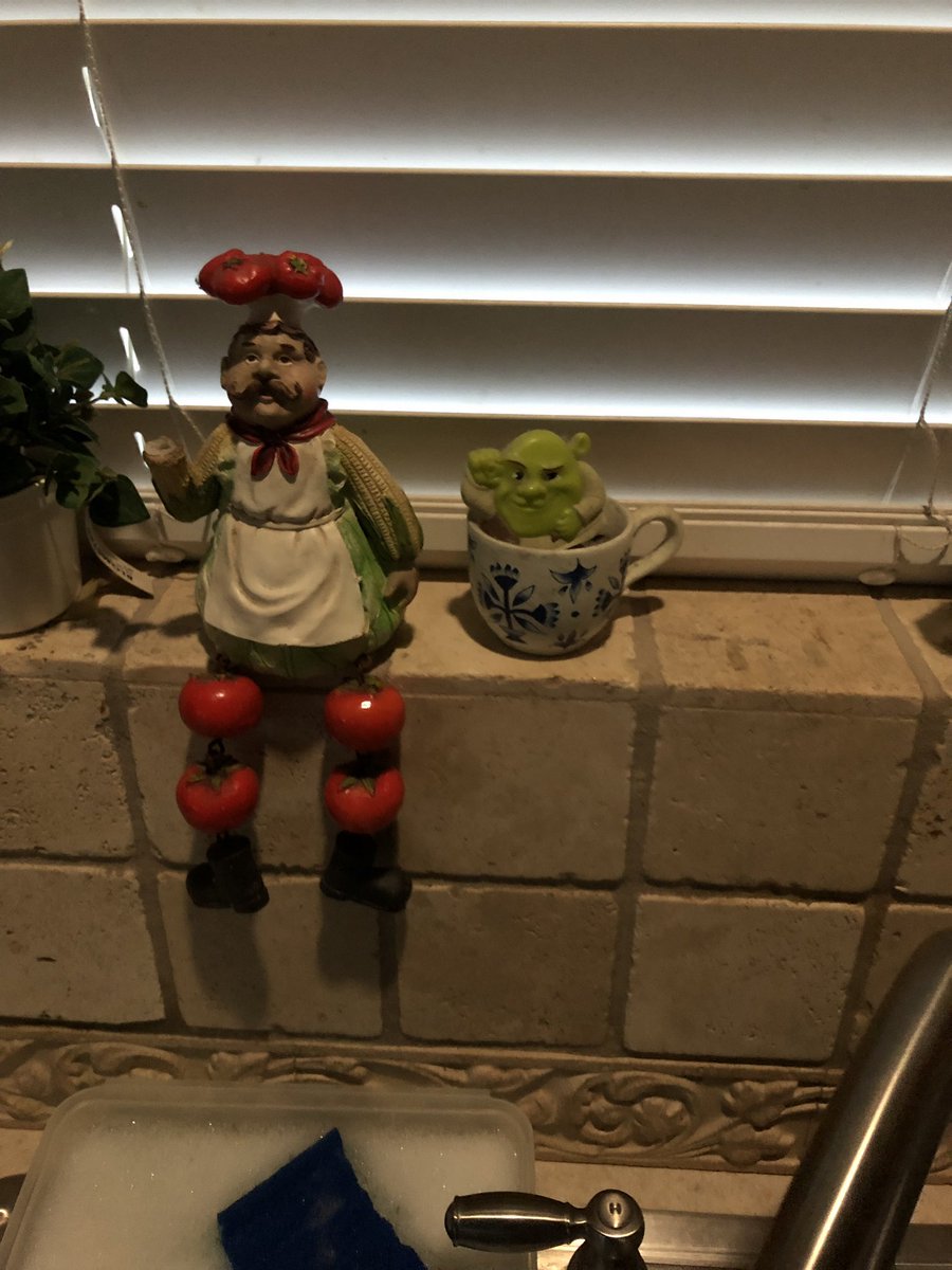 itsmebeepbeep's tweet photo. We moved into our house in 2009 and for the past 10 years my parents have had this shrek toy sitting in a teacup above the kitchen sink and no one ever questioned it https://t.co/GQYTfjK64E