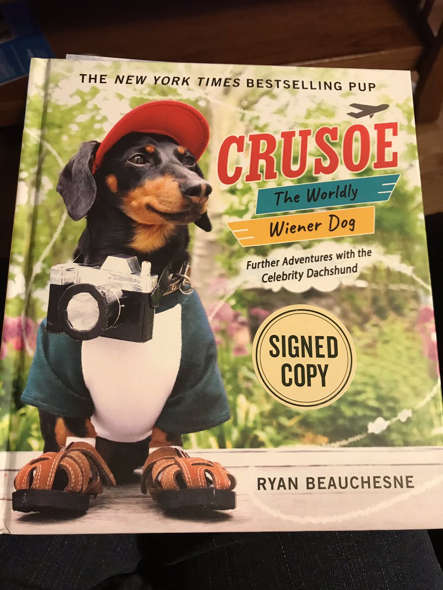 Emmadoxie's tweet photo. #packtogether Look what was waiting for Mum!๐ @Celeb_Dachshund https://t.co/hwuUNteXKh