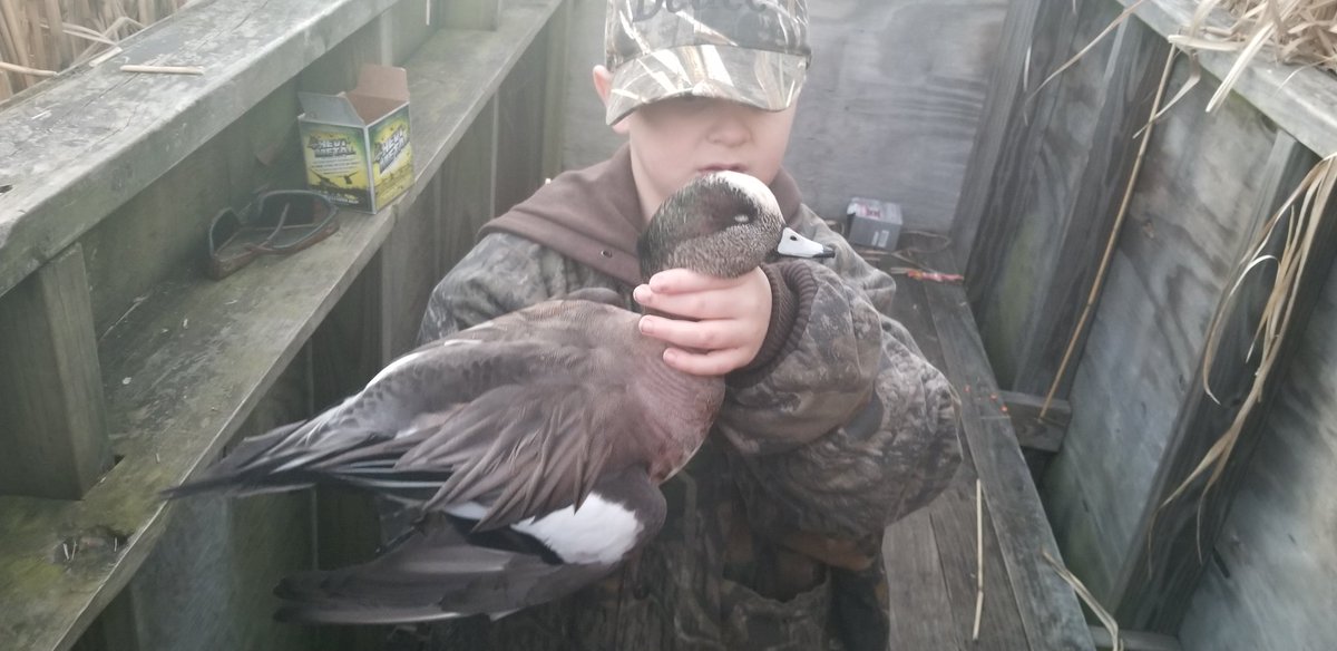 demock_mann's tweet photo. Youngest son got his first duck flying this afternoon happy kid #duckhunting https://t.co/2xQqhunap8