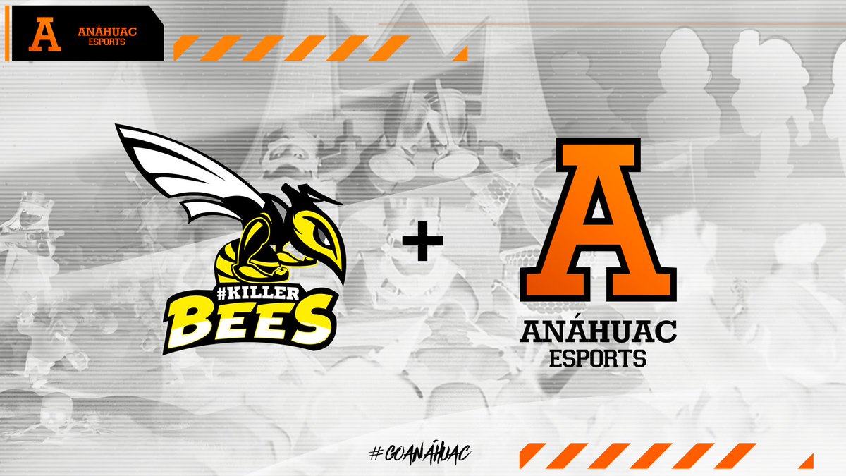 ¡Tenemos otra gran noticia! 😱

El equipo #KillerBees 🐝 <a href="/AnahuacCR/">Anáhuac Clash Royale</a> pasará a ser el equipo competitivo de Clash Royale para Anáhuac Esports <a href="/AnahuacE/">Anáhuac Esports</a> !

Síganlos si están interesados en formar parte!

#GoAnáhuac