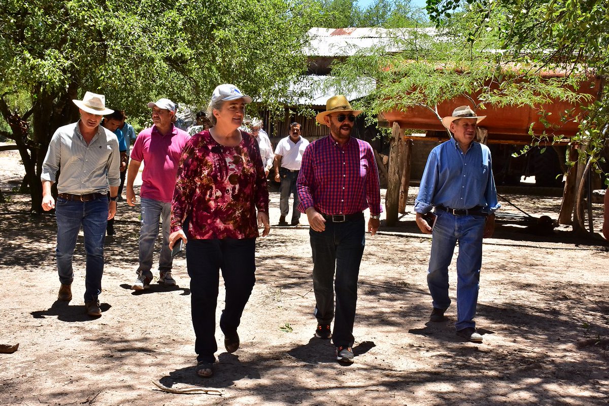 AgenforNoticias's tweet photo. Insfrán renovó fuerte respaldo a la educación rural al visitar escuela agro-técnica en Sumayen
https://t.co/j32zSraYkF https://t.co/IM8xXQXiq4