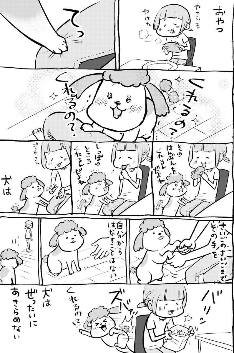 犬と猫両方とも飼っていると行動パターンが逆すぎてたまらんww