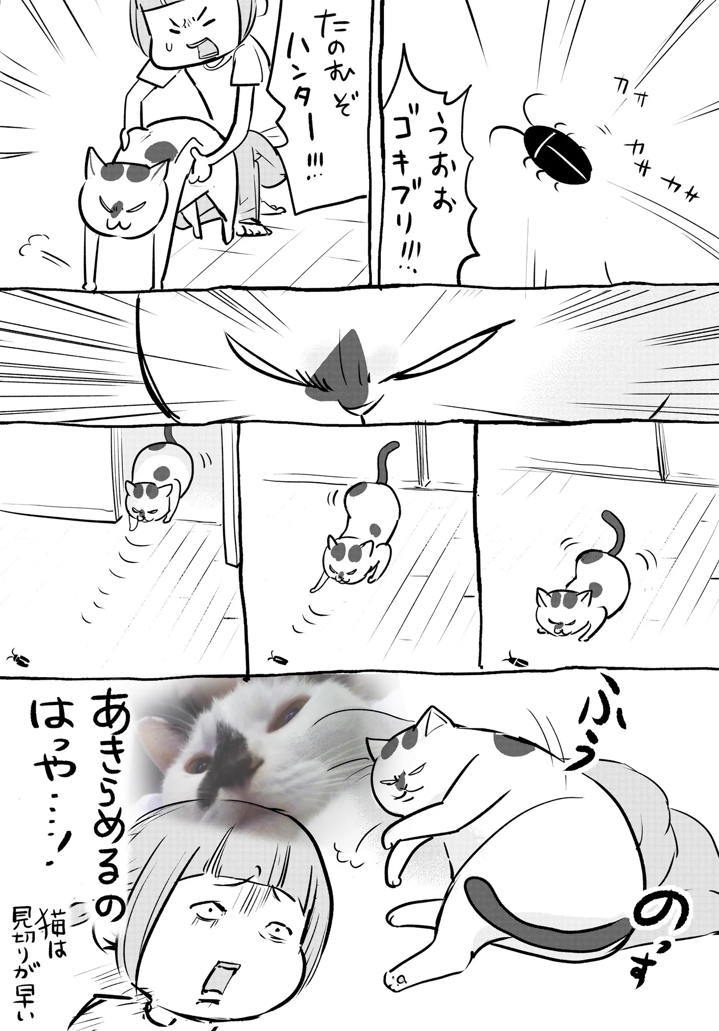 犬と猫両方とも飼っていると行動パターンが逆すぎてたまらんww