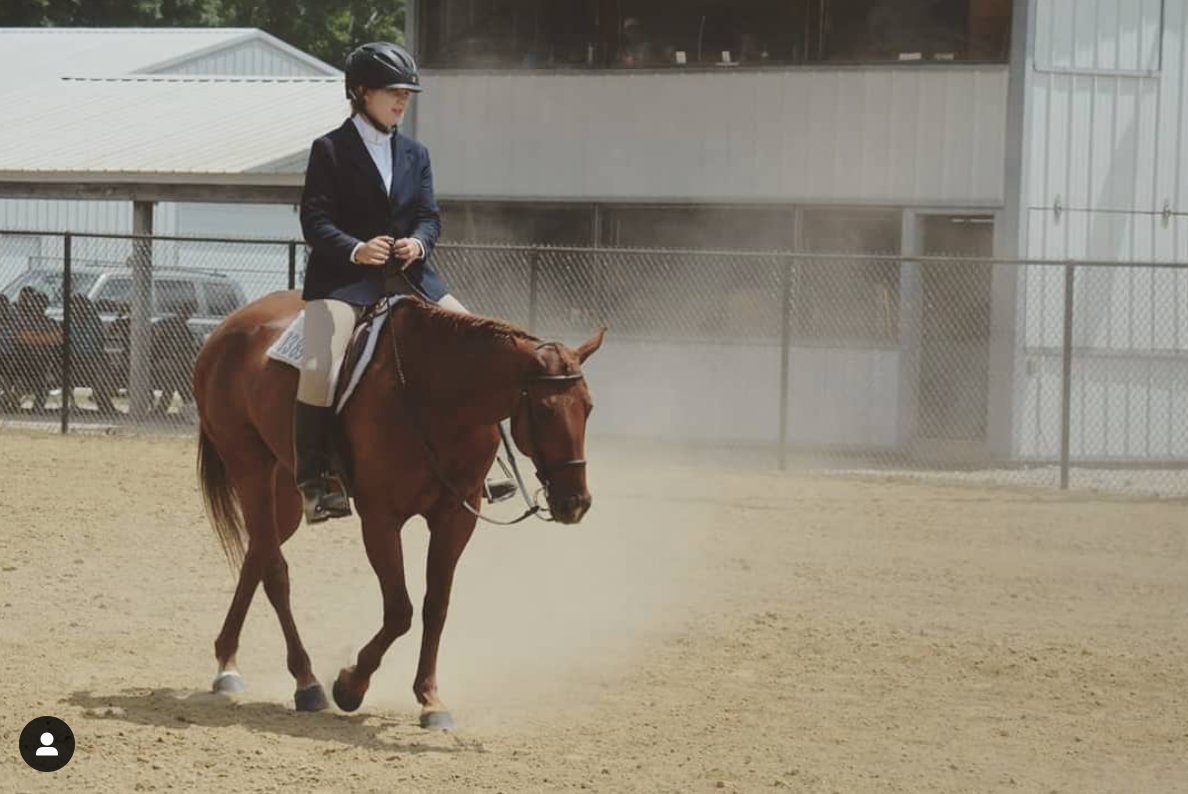 LakotaTrailers's tweet photo. "Can we go back to wearing wool coats in 90° weather?
-
#cold #indianaweather #lakotatrailers #lakotaypa #lakotaforever #quarterhorse #hunterjumper #youholdmyheart #aqhaproud #4h #missingwarmweather 📷: @the.real.thiel " https://t.co/JN7li8BAVn