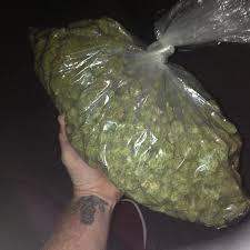 RASTA89853160's tweet photo. @DenverWestword @EmeraldZoo top quality  medical  meds available  for  shipments https://t.co/Sh95LLnUnX