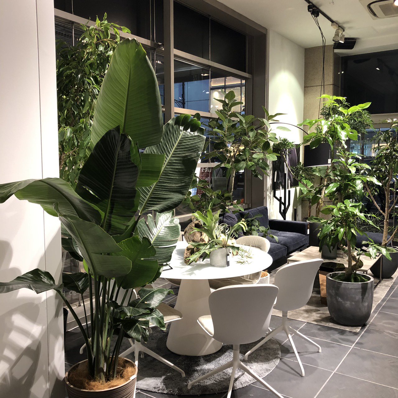 BoConcept Japan (@BoConcept_Japan) / X