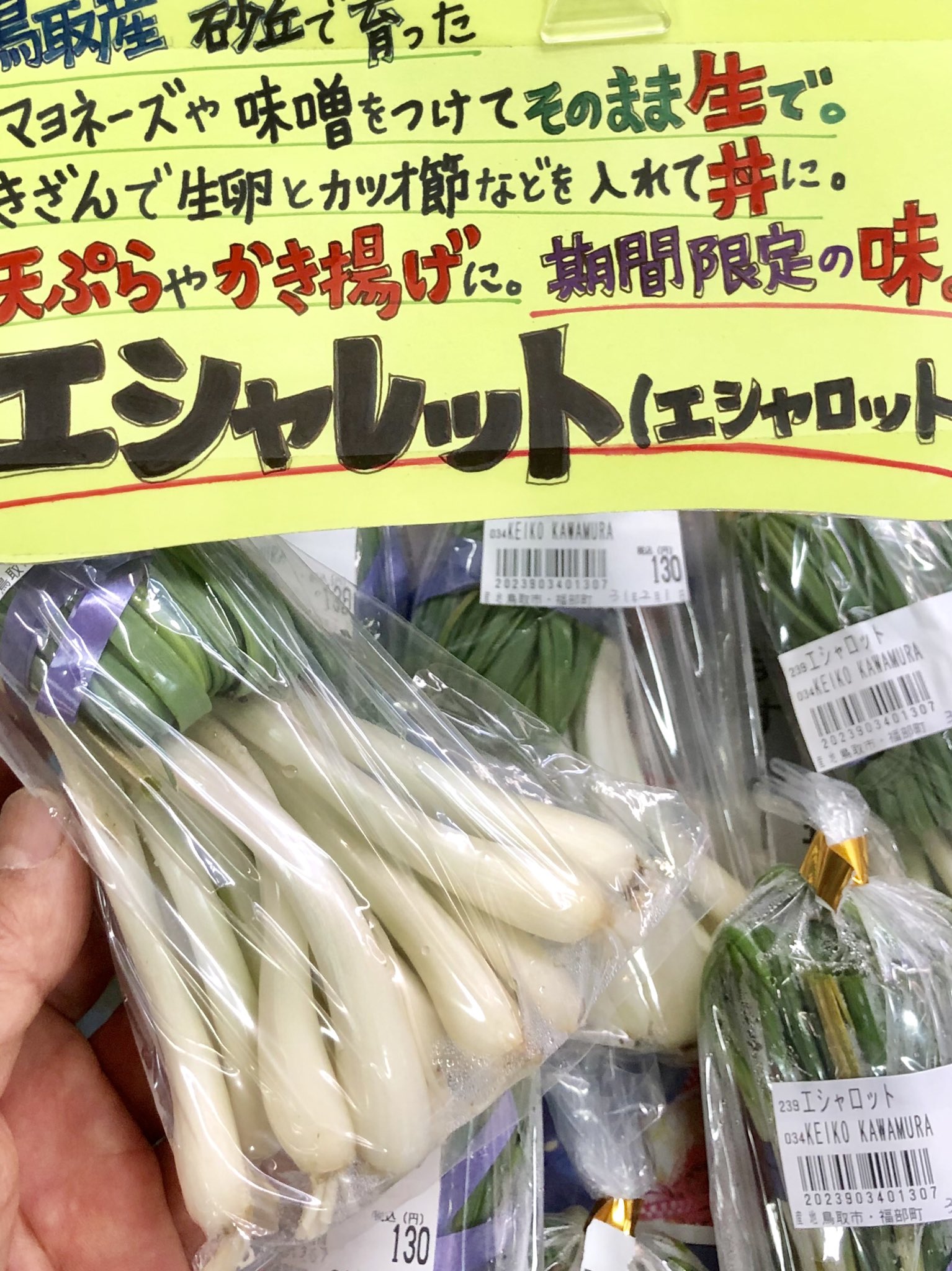 ０円農業 砂丘らっきょうを早採りしたエシャレット 期間限定の旬の食材 エシャレット エシャロットとは違うらしい 生産者さん自体が間違っている 駅前市場 0円農業 鳥取 T Co Qdq9go7ila Twitter