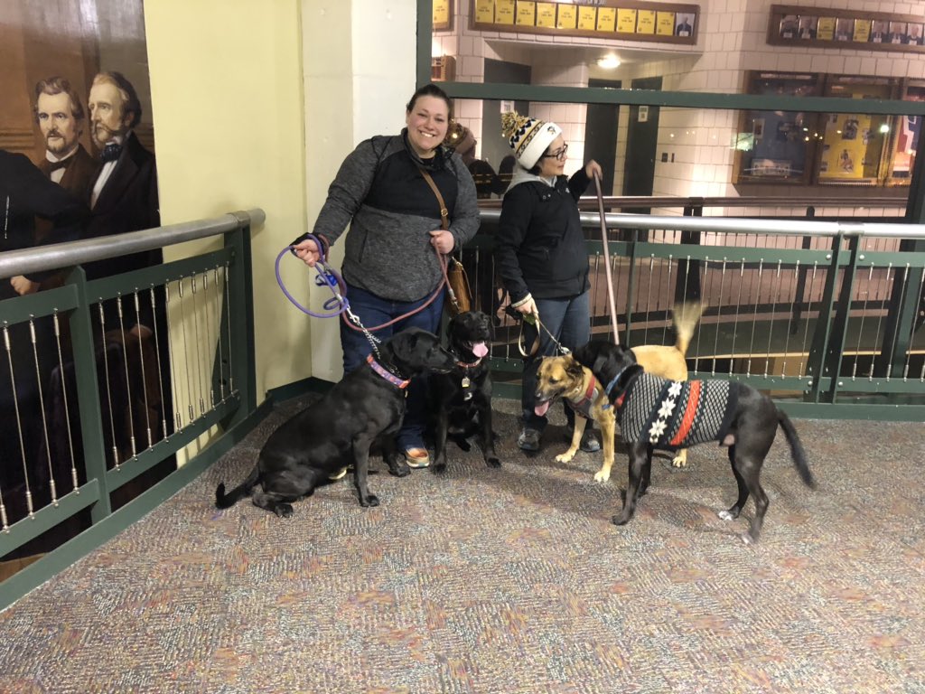 WheelingNailers's tweet photo. So many good boys and girls in the house tonight #PupsAndPucks #NailCity⚒ https://t.co/I6so8txfQH
