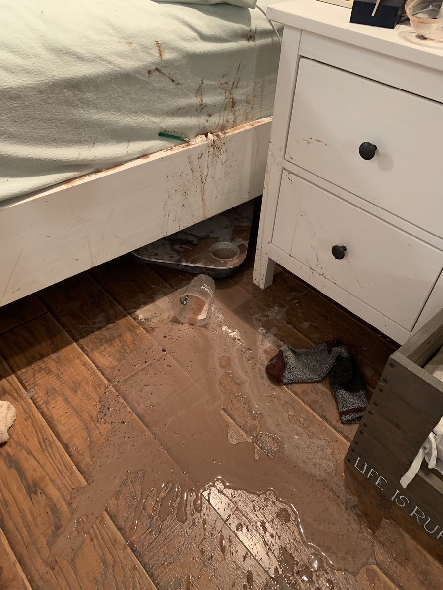 jessalott tweet media