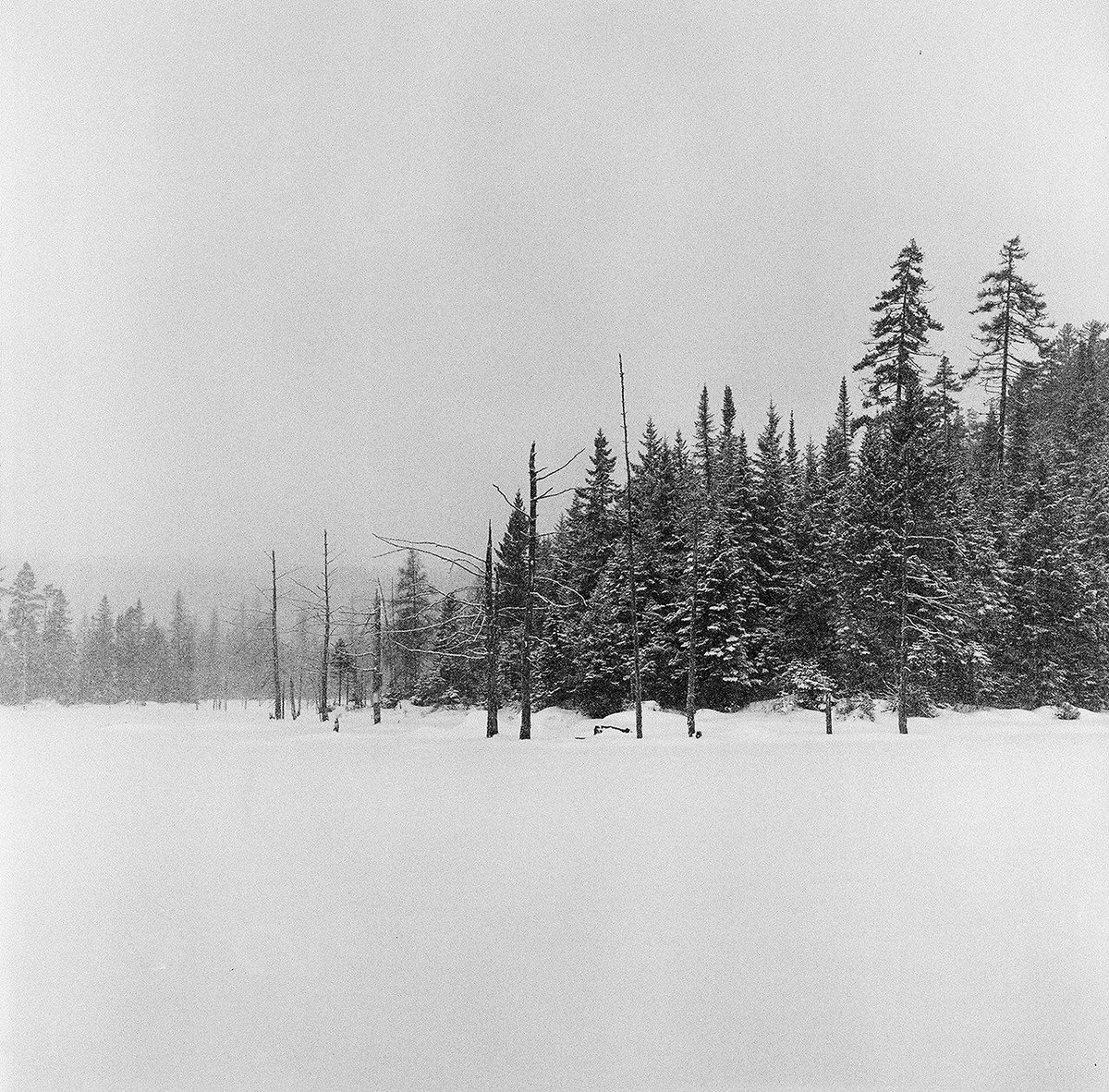 Archillect (@archillect) on Twitter photo 