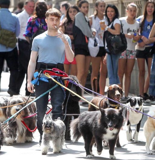 nicolas_px's tweet image. Me and my friends on our way to hang out