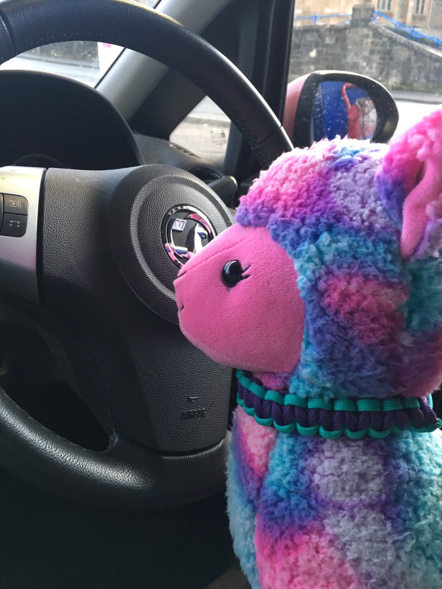 LinMllama's tweet image. ROADTRIP! #moooovinrightalong #moosicalsoundtrack