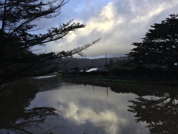 Miles of clouds above the city. Planned to run 14 miles in the rain. Ran 15.7 (25km) in high winds instead<a href="/tag/run"class="tags"><span>#run</span></a><a href="/tag/trail"class="tags"><span>#trail</span></a><a href="/tag/trailrun"class="tags"><span>#trailrun</span></a><a href="/tag/sfrc"class="tags"><span>#sfrc</span></a><a href="/tag/50ktraining"class="tags"><span>#50ktraining</span></a>