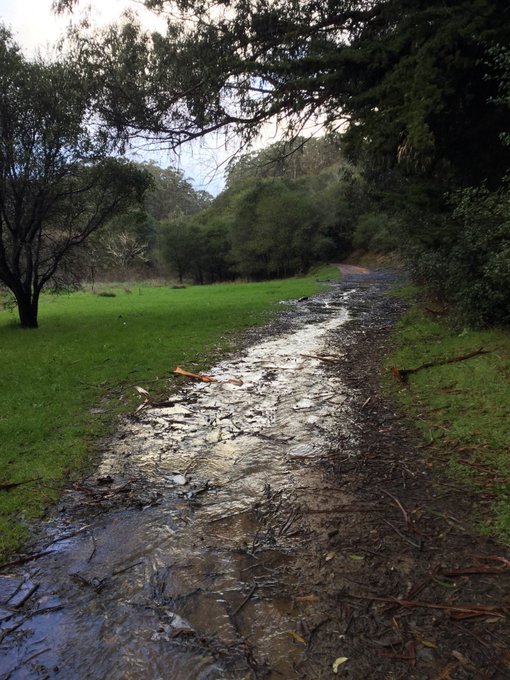 Miles of clouds above the city. Planned to run 14 miles in the rain. Ran 15.7 (25km) in high winds instead<a href="/tag/run"class="tags"><span>#run</span></a><a href="/tag/trail"class="tags"><span>#trail</span></a><a href="/tag/trailrun"class="tags"><span>#trailrun</span></a><a href="/tag/sfrc"class="tags"><span>#sfrc</span></a><a href="/tag/50ktraining"class="tags"><span>#50ktraining</span></a>