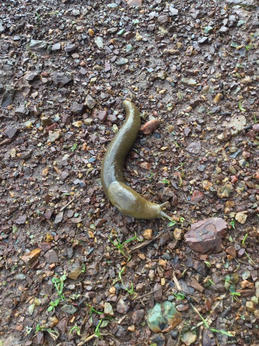 Miles of clouds above the city. Planned to run 14 miles in the rain. Ran 15.7 (25km) in high winds instead<a href="/tag/run"class="tags"><span>#run</span></a><a href="/tag/trail"class="tags"><span>#trail</span></a><a href="/tag/trailrun"class="tags"><span>#trailrun</span></a><a href="/tag/sfrc"class="tags"><span>#sfrc</span></a><a href="/tag/50ktraining"class="tags"><span>#50ktraining</span></a>