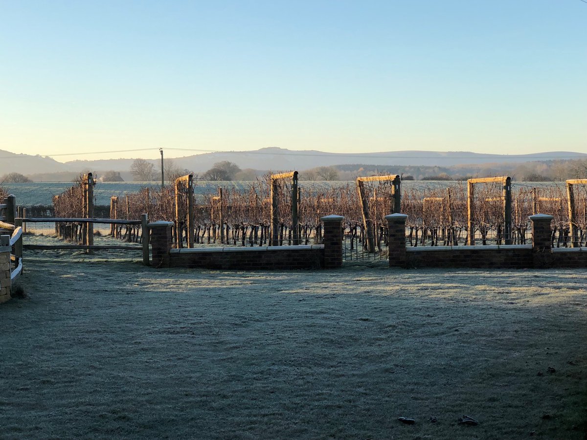 A beautiful invitation to get on with the pruning #noexcuses