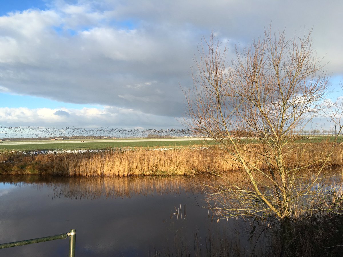 Pieter Dinkla tweet media