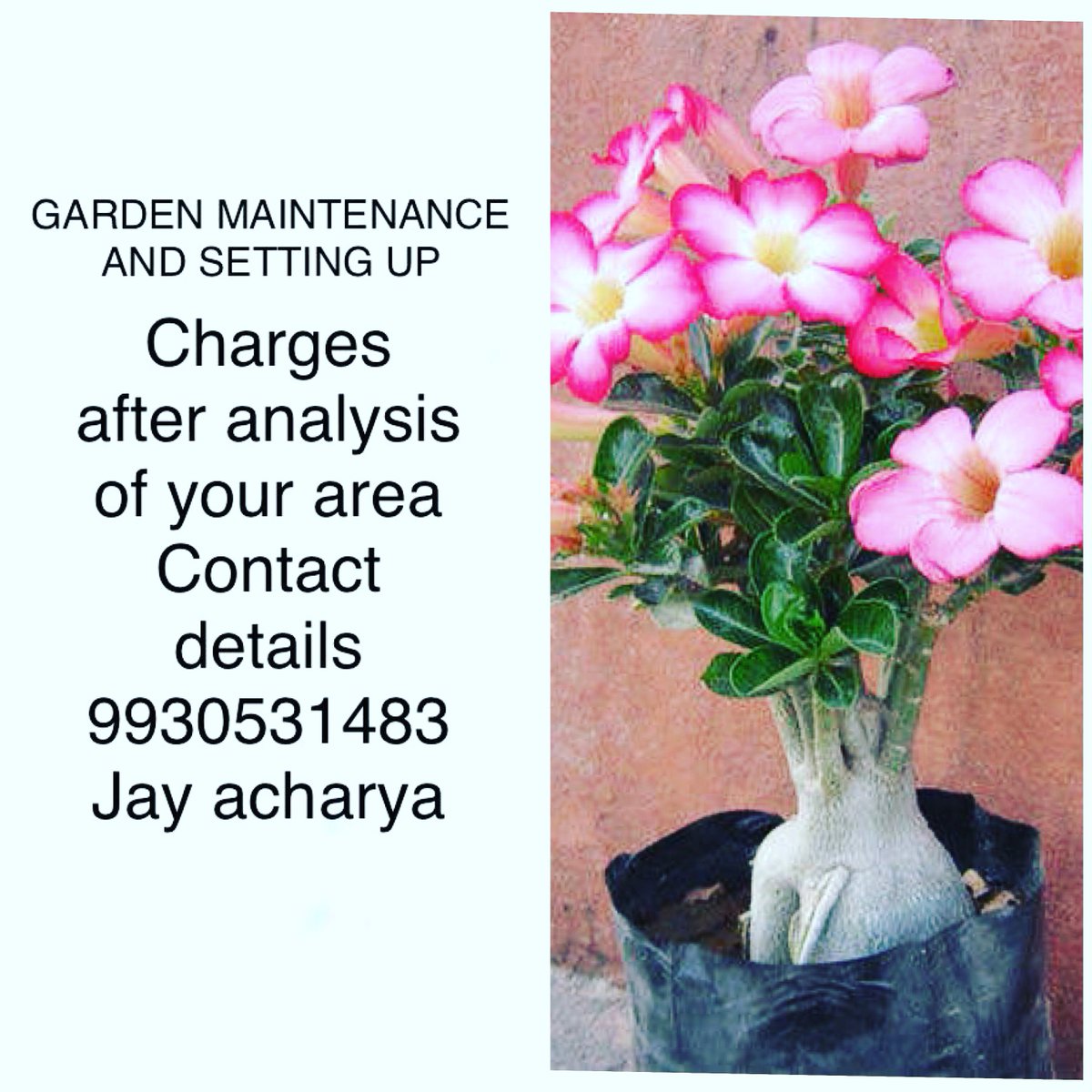 jayacharya1b's tweet photo. https://t.co/yomFmpL11r