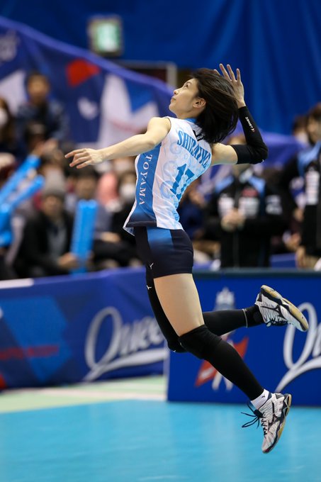 選手 奈 白岩 蘭