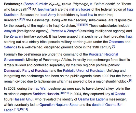  https://en.wikipedia.org/wiki/Peshmerga Peshmerga - I Would Be Guessing If I Try And Understand Kurdish Politics. They have parties that are controlled by Iran and Russia.