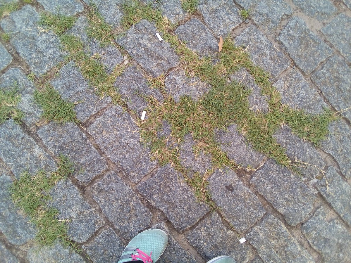 Gamitiel's tweet photo. One of the oldest streets of my neighborhood. Stone pavement from begginings from XX century. It's su supposedly kept by a historic place law, but this government don't respect legacy. #BuenosAires #bicentenario #stonepavement https://t.co/N9p17dY9YX