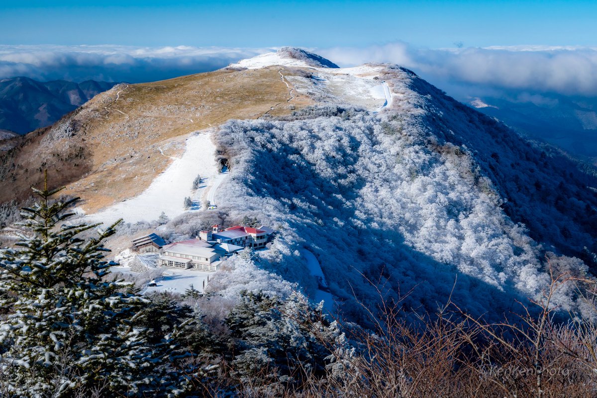 Kenken 四国は南のほうにありますが 雪も降りますし 山には霧氷もできます きのうの四国カルスト 天気もよくてとてもキレイでした ゆーさん Yu D0326 いろいろ情報ありがとうございました 高知 天狗高原 四国カルスト Pashadelic 東京