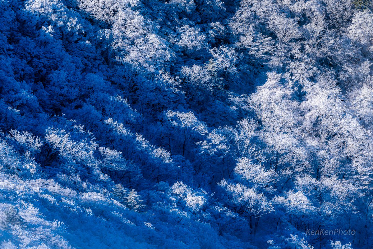 Kenken 四国は南のほうにありますが 雪も降りますし 山には霧氷もできます きのうの四国カルスト 天気もよくてとてもキレイでした ゆーさん Yu D0326 いろいろ情報ありがとうございました 高知 天狗高原 四国カルスト Pashadelic 東京