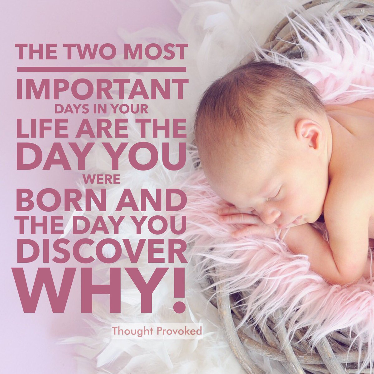 Why were you born? #JoyTrain #Joy #Love #Peace #Kindness #Destiny #Purpose RT @thoughtprovoke4