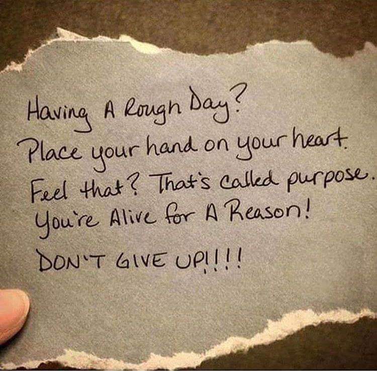 BlessForward's tweet photo. #BLESSFORWARD https://t.co/xrBpntgpa6