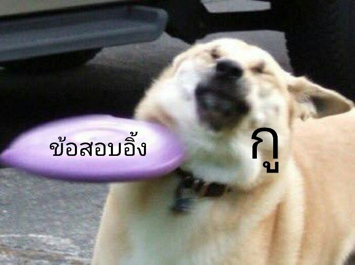 (D-01) • ต้องได้เรียนละคอน #dek65 tweet media