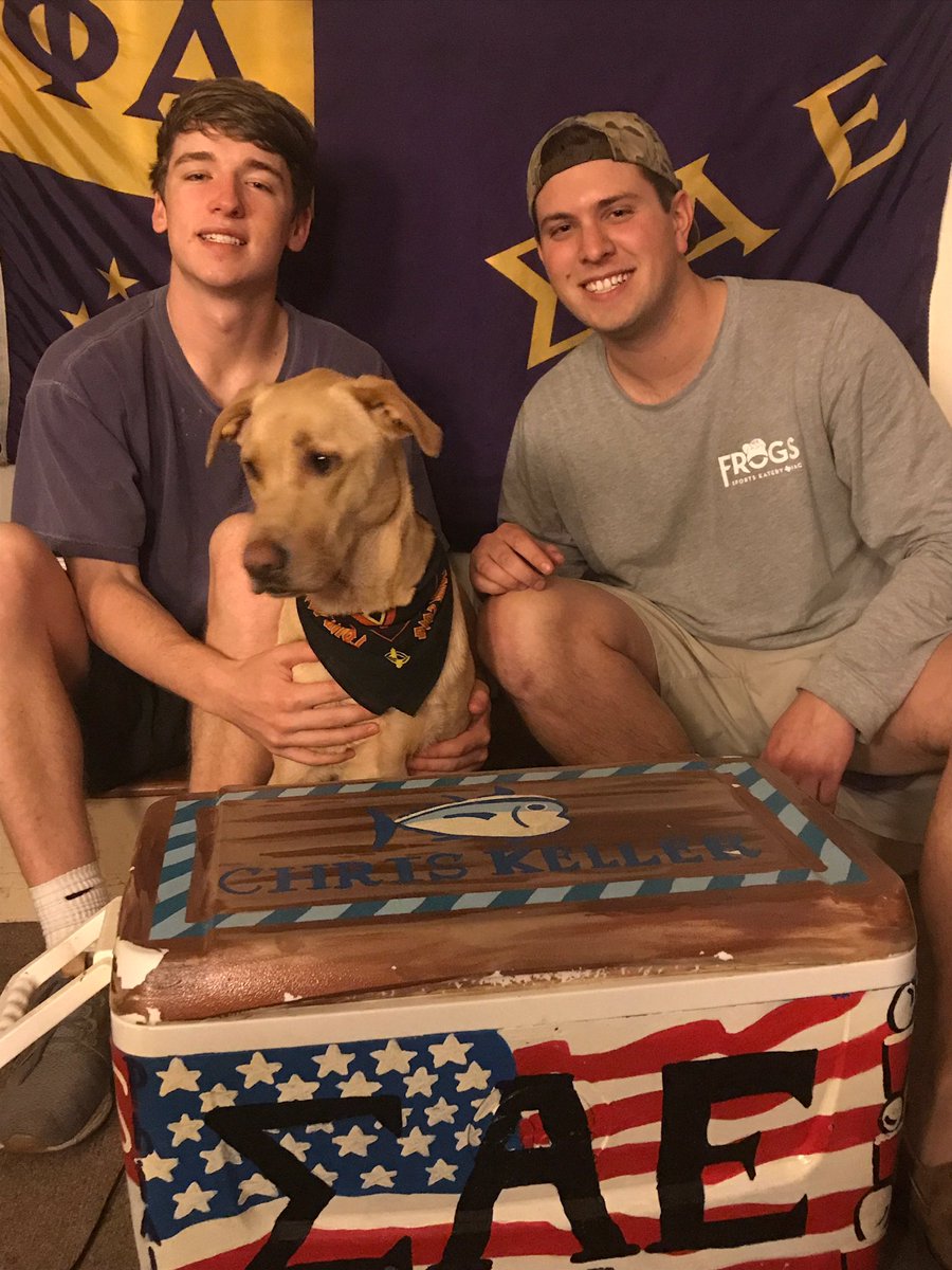 Everyone meet Marty, ΣΑΕ Texas Phi frat hound. Good boys rush ΣΑΕ!
