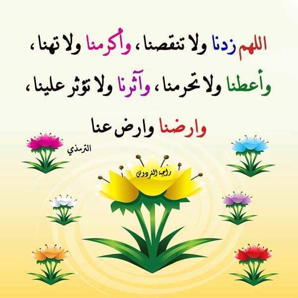 زهرة الصبار (@safewael4) on Twitter photo 