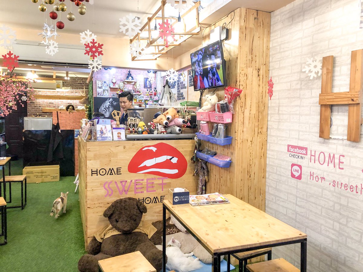 ipigyoueat's tweet photo. Home sweet home crepes – เป็นร้านขนมหวานที่มีแมวเต็มร้าน สังเกตุได้จากมีแมวโผล่อยู่ทุกรูปที่ถ่าย ฟรีไวไฟ และมีเมนูของคาวด้วย เหมาะกับการนั่งชิวเล่นกับแมวเพลินๆ ใครทานหวานไม่มาก อย่าลืมสั่งหวานน้อยนะคะ #อร่อยไปแดก #อร่อยบอกต่อ #ทาสแมว #คาเฟ่แมว

📍 ถนนช่างอากาศอุทิศ, ดอนเมือง https://t.co/X8pCA5KLiR