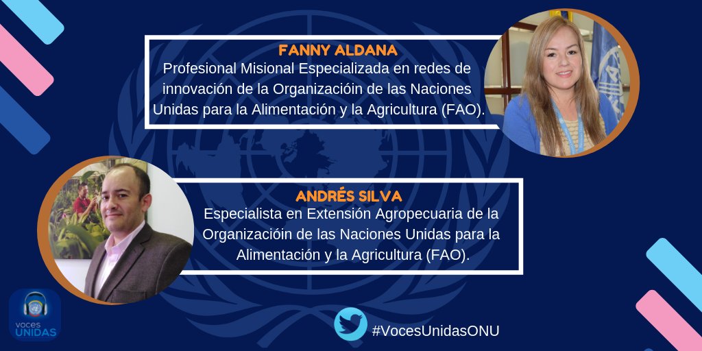 FAO_Colombia's tweet photo. 📻 #VocesUnidas 🇺🇳 | Para hablar sobre el Nuevo Enfoque de Extensión para los Territorios Rurales nos acompañan desde @FAO 🇨🇴 Fanny Aldana, Profesional en Redes de Innovación y Andrés Silva, Especialista en Extensión Agropecuaria. https://t.co/YHktByuxev